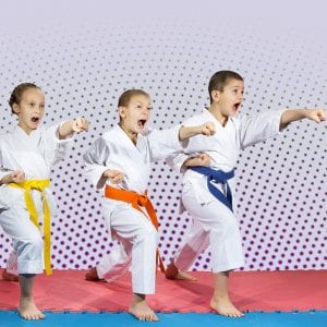 Martial Arts Lessons for Kids in Naperville IL - Punching Focus Kids Sync