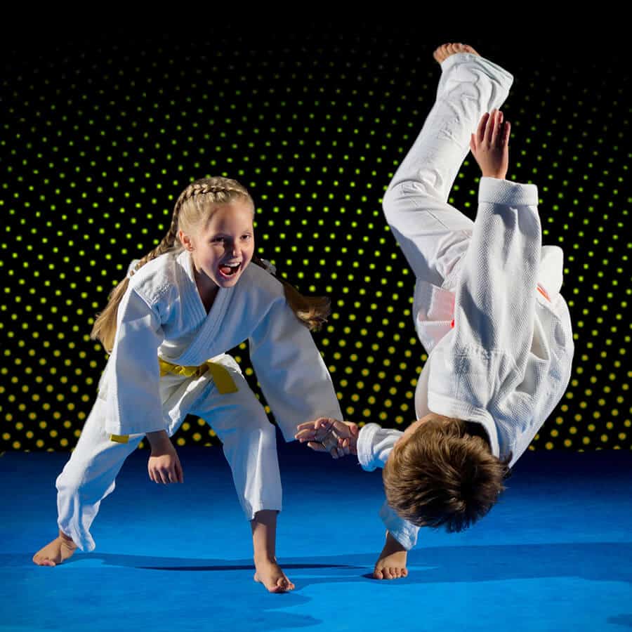 Martial Arts Lessons for Kids in Naperville IL - Judo Toss Kids Girl